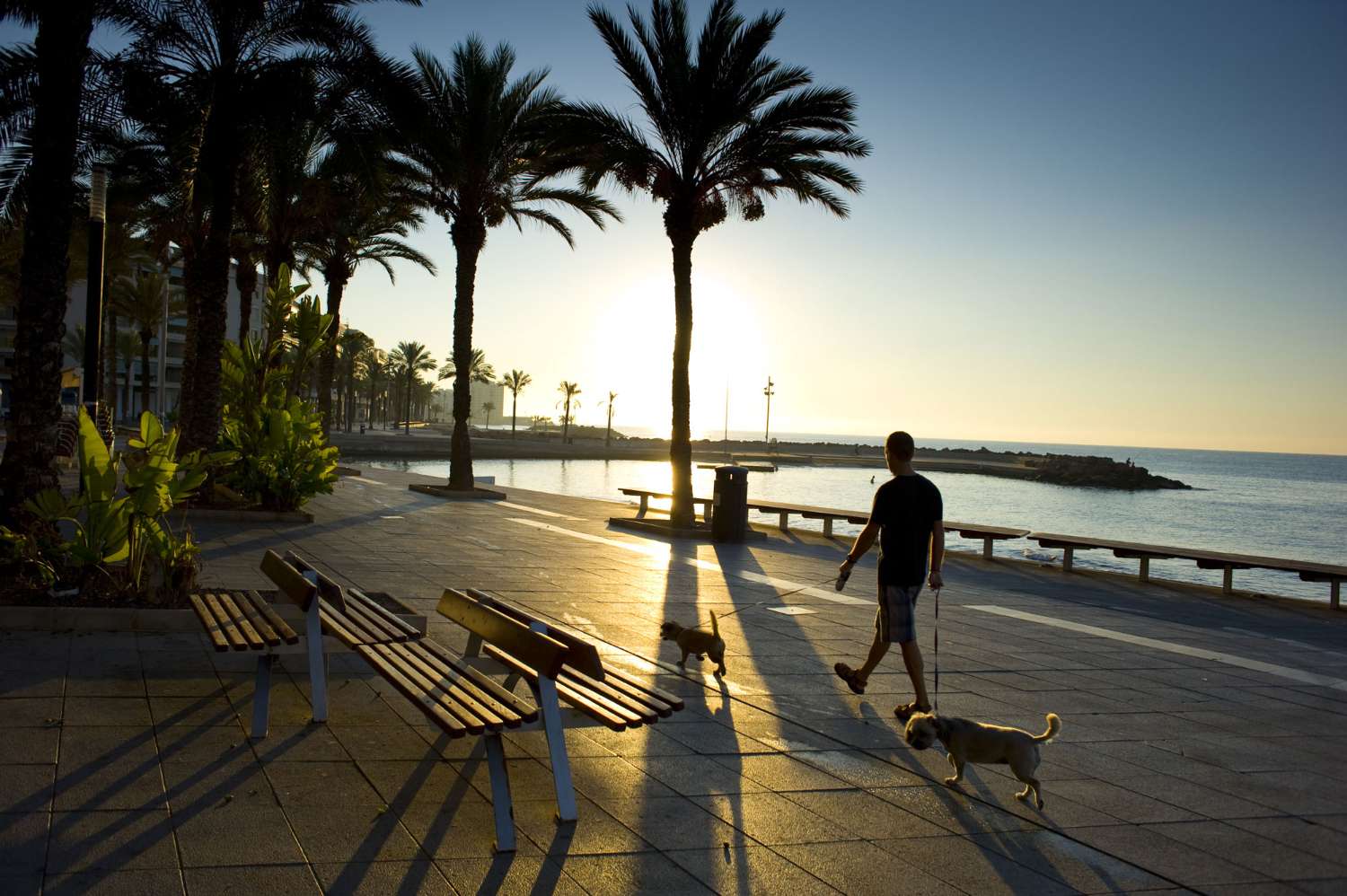 Dejlig 'New Build' 2 værelses strandpromenade lejlighed med fælles pool i Punta Prima